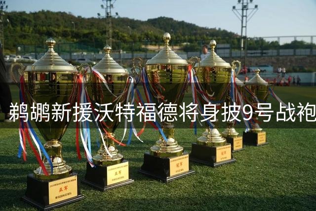 鹈鹕新援沃特福德将身披9号战袍 该号码前任为小乔丹